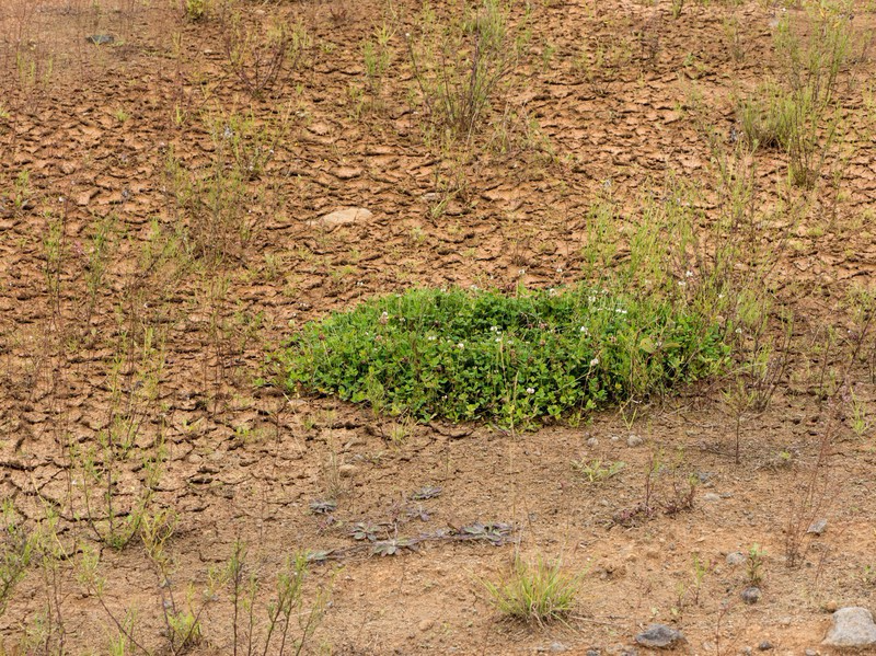 Birgit Durchgraf Neue Wege Für Die Seele Mit The Work Fotos Und Birgit Durchgraf Neue Wege Für Die Seele Mit The Work Fotos Und
